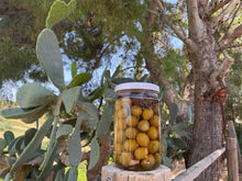 Carica l'immagine nel visualizzatore di Gallery, Olio Extra Vergine di Oliva Biologico - 500ml